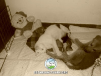 05-khersi-sezar-sanctuary