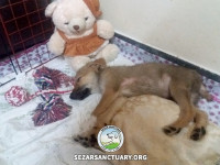 08-khersi-sezar-sanctuary