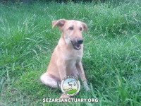 09-khersi-sezar-sanctuary