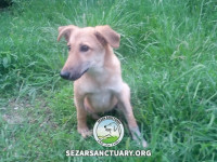 10-khersi-sezar-sanctuary