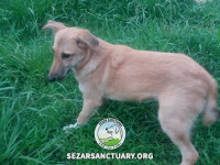 11-khersi-sezar-sanctuary