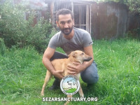 12-khersi-sezar-sanctuary