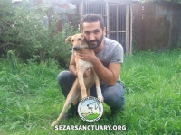 13-khersi-sezar-sanctuary