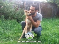 15-khersi-sezar-sanctuary