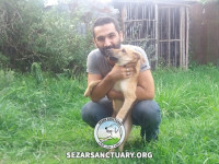 16-khersi-sezar-sanctuary