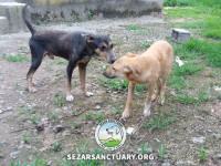 21-khersi-sezar-sanctuary