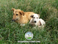 23-khersi-sezar-sanctuary