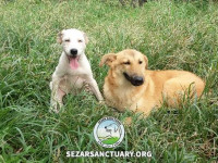 27-khersi-sezar-sanctuary